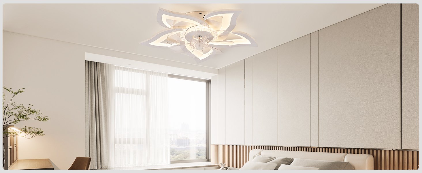 Bedroom,Kitchen,Living Room