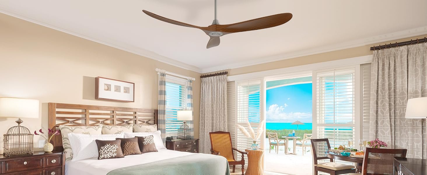 ceiling fan