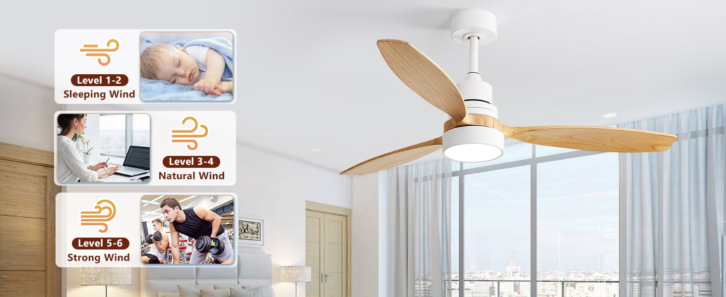 ceiling fan