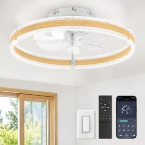 Ceiling Fans with Lights and Remote, 20'' Low Profile Ceiling Fan with Light, 3000-6000K Dimmable Fandelier Ceiling Fans