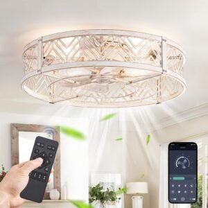 20" Caged Ceiling Fan with Light, Small Flush Mount Ceiling Fan with App