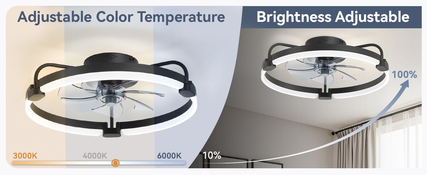 Living room Ceiling Fan