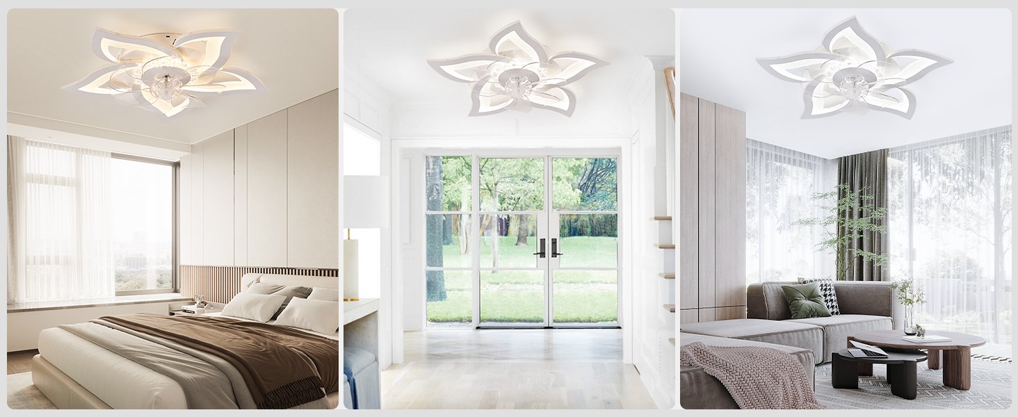 Bedroom,Kitchen,Living Room