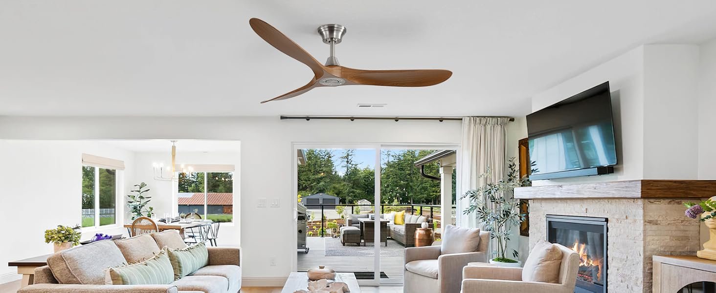 ceiling fan